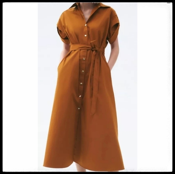 Zara Dresses & Skirts - Zara Brown Midi Dress